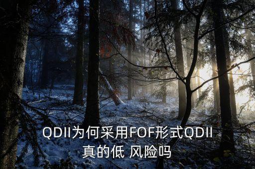 QDII為何采用FOF形式QDII真的低 風(fēng)險(xiǎn)嗎