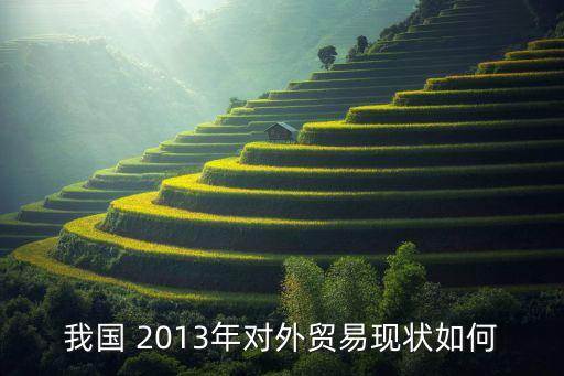 2013中國進(jìn)口額,中國農(nóng)產(chǎn)品進(jìn)口額