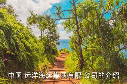 中國(guó) 遠(yuǎn)洋海運(yùn)集團(tuán)有限 公司的介紹