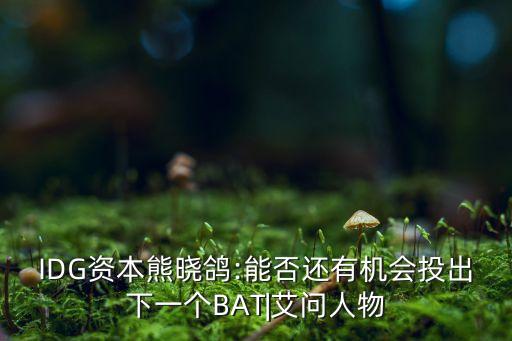 IDG資本熊曉鴿:能否還有機(jī)會(huì)投出下一個(gè)BAT|艾問人物