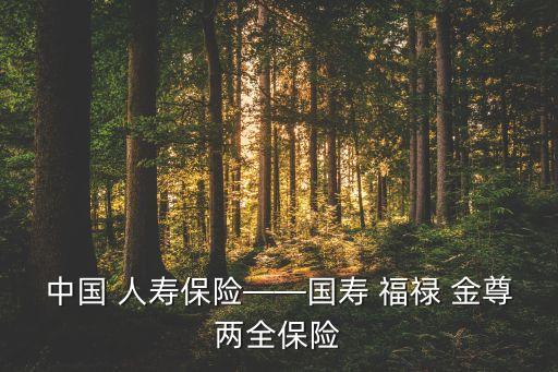 中國 人壽保險(xiǎn)——國壽 福祿 金尊兩全保險(xiǎn)