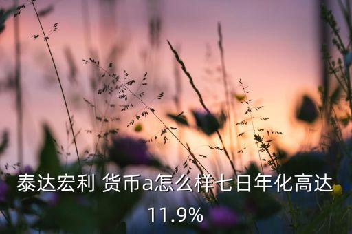 泰達(dá)宏利 貨幣a怎么樣七日年化高達(dá)11.9%