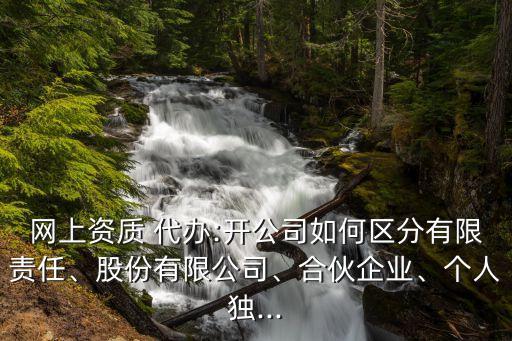 網(wǎng)上資質(zhì) 代辦:開公司如何區(qū)分有限責(zé)任、股份有限公司、合伙企業(yè)、個人獨...