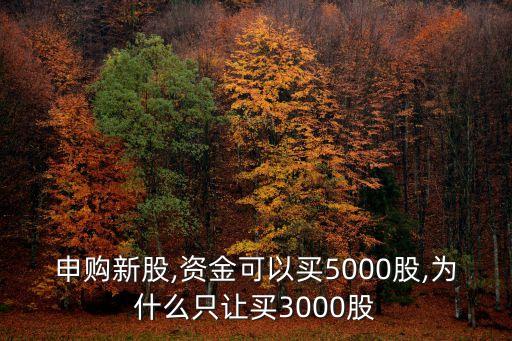 申購新股,資金可以買5000股,為什么只讓買3000股