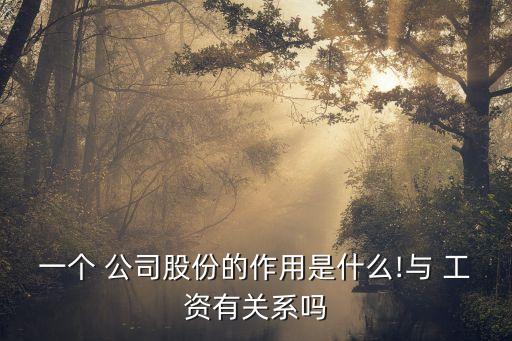 一個 公司股份的作用是什么!與 工資有關系嗎