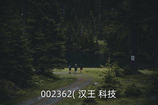 002362( 漢王 科技