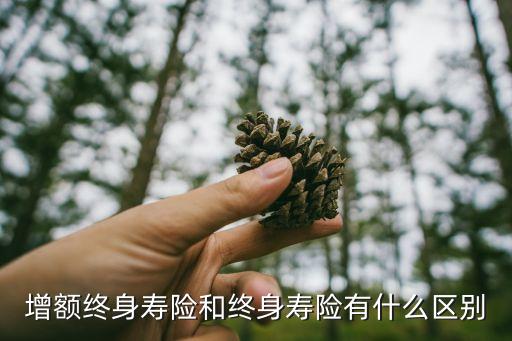 增額終身壽險(xiǎn)和終身壽險(xiǎn)有什么區(qū)別