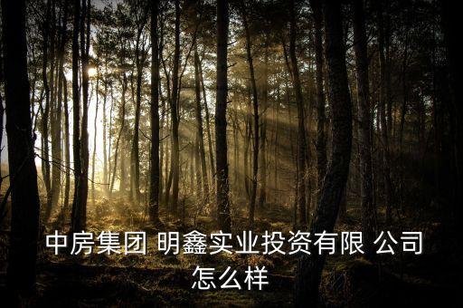  中房集團 明鑫實業(yè)投資有限 公司怎么樣