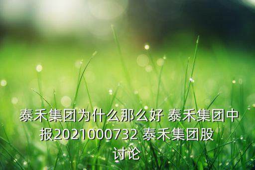  泰禾集團(tuán)為什么那么好 泰禾集團(tuán)中報2021000732 泰禾集團(tuán)股討論