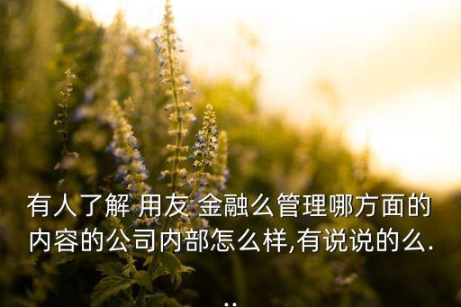 有人了解 用友 金融么管理哪方面的內(nèi)容的公司內(nèi)部怎么樣,有說說的么...