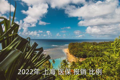 2022年 上海 醫(yī)保 報銷 比例