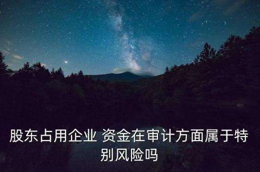 股東占用企業(yè) 資金在審計方面屬于特別風(fēng)險嗎