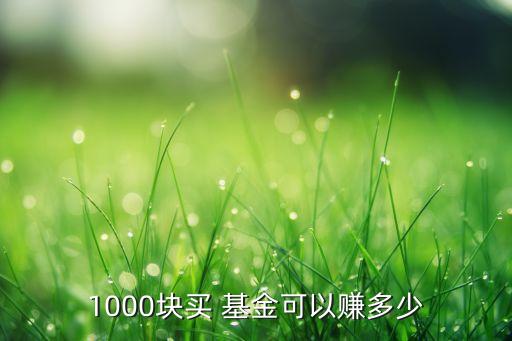 1000塊買 基金可以賺多少