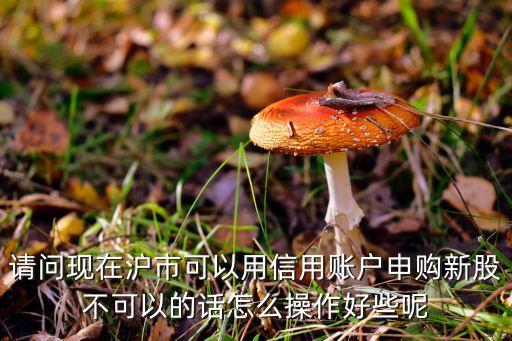 請問現(xiàn)在滬市可以用信用賬戶申購新股不可以的話怎么操作好些呢