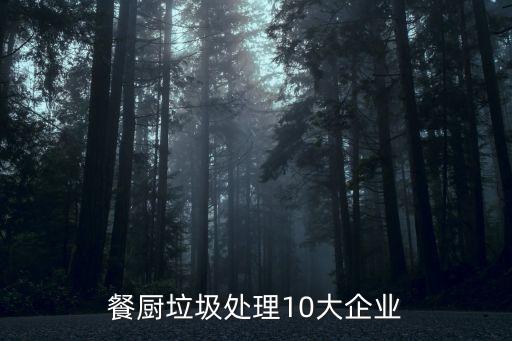 餐廚垃圾處理10大企業(yè)