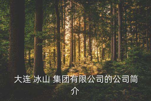  大連 冰山 集團(tuán)有限公司的公司簡介