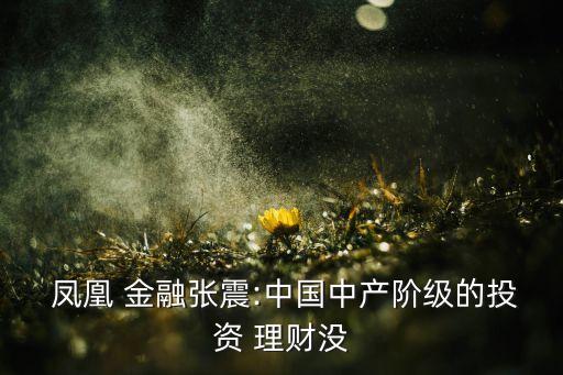  鳳凰 金融張震:中國中產(chǎn)階級的投資 理財(cái)沒