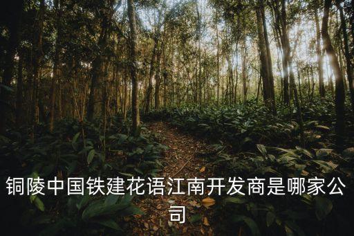 銅陵中國鐵建花語江南開發(fā)商是哪家公司