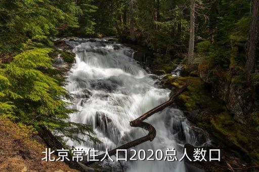  北京常住人口2020總?cè)藬?shù)口