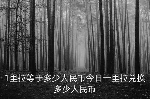 1里拉等于多少人民幣今日一里拉兌換多少人民幣