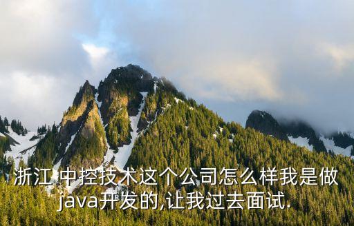 浙江 中控技術(shù)這個公司怎么樣我是做java開發(fā)的,讓我過去面試.