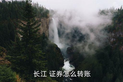  長(zhǎng)江 證券怎么轉(zhuǎn)賬