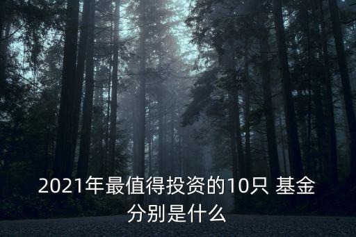 2021年最值得投資的10只 基金分別是什么