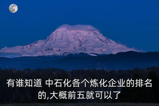 有誰(shuí)知道 中石化各個(gè)煉化企業(yè)的排名的,大概前五就可以了