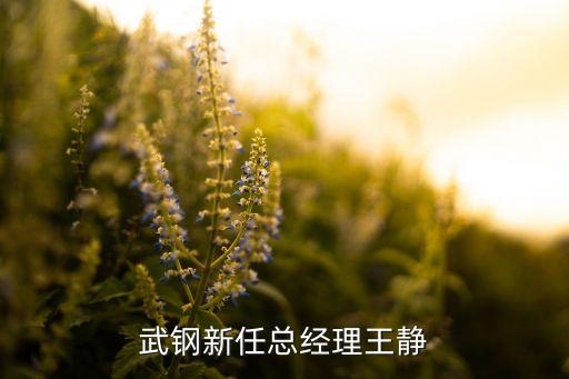 鋼寶電子商務股份有限公司董事