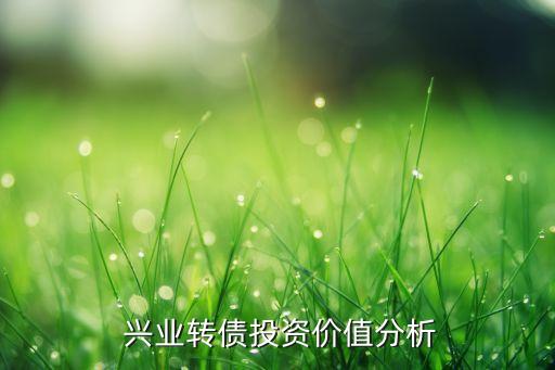 興業(yè)銀行評級