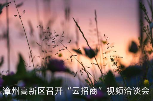 漳州高新區(qū)召開“云招商”視頻洽談會(huì)