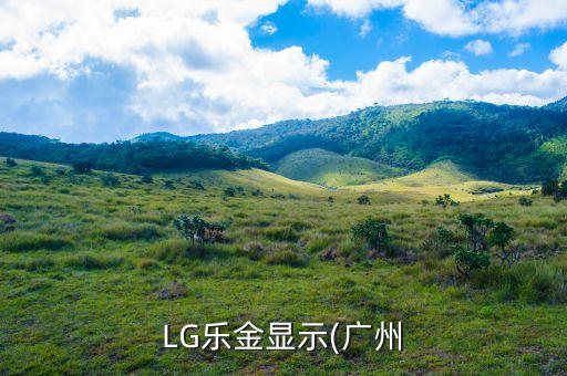 LG樂金顯示(廣州