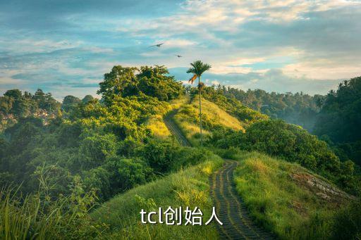 tcl投資,TCL投資公司