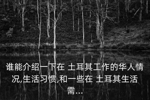 誰能介紹一下在 土耳其工作的華人情況,生活習慣,和一些在 土耳其生活需...