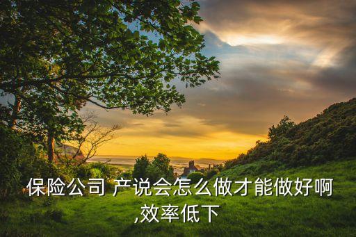  保險公司 產(chǎn)說會怎么做才能做好啊,效率低下