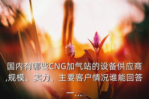 國內(nèi)有哪些CNG加氣站的設(shè)備供應(yīng)商,規(guī)模、實力、主要客戶情況誰能回答一...