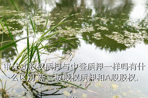 審計式股權(quán)質(zhì)押與中登質(zhì)押一樣嗎有什么區(qū)別 新三板股權(quán)質(zhì)押和A股股權(quán)...