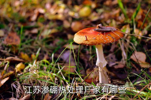 江蘇滲硼熱處理廠家有哪些