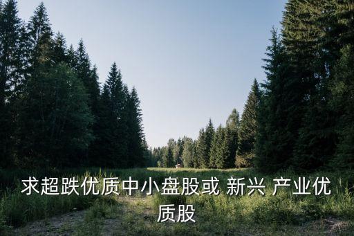 求超跌優(yōu)質中小盤股或 新興 產(chǎn)業(yè)優(yōu)質股