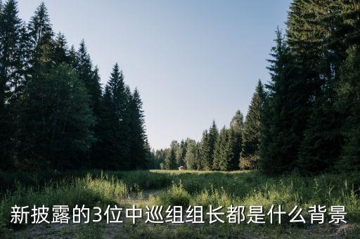 新披露的3位中巡組組長都是什么背景