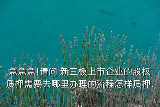 急急急!請問 新三板上市企業(yè)的股權(quán)質(zhì)押需要去哪里辦理的流程怎樣質(zhì)押...