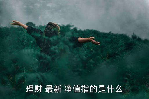 理財 最新 凈值指的是什么