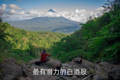 酒類(lèi)股票推薦股票