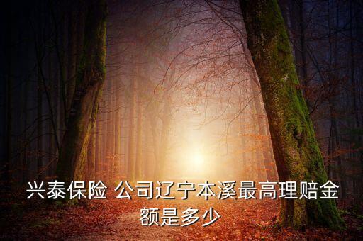  興泰保險(xiǎn) 公司遼寧本溪最高理賠金額是多少