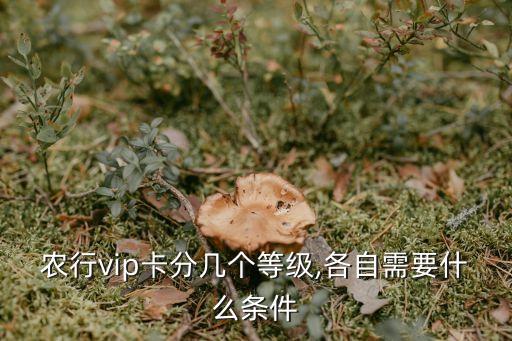 農(nóng)行vip卡分幾個(gè)等級(jí),各自需要什么條件