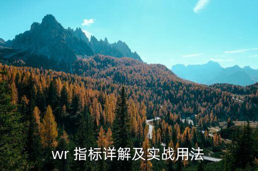 手機(jī)做股票WR是什么指標(biāo),wr是什么意思 股票 金叉