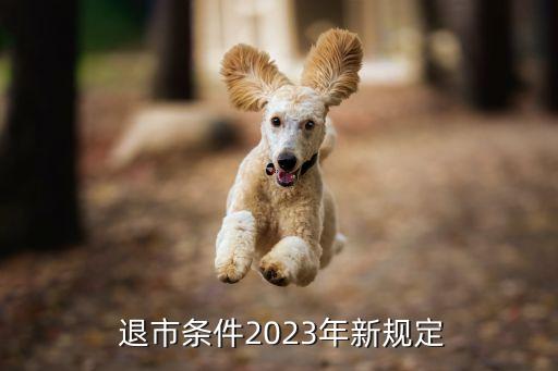  退市條件2023年新規(guī)定