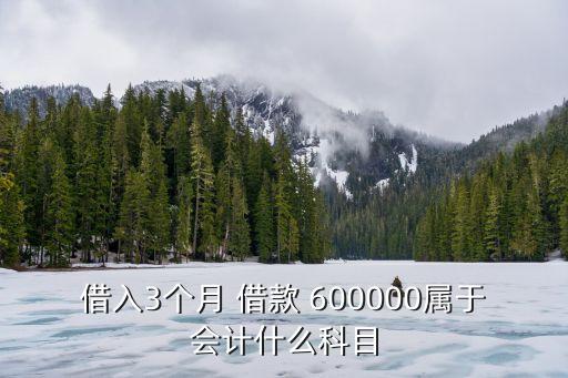 借入3個月 借款 600000屬于會計什么科目