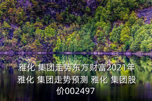  雅化 集團(tuán)走勢東方財(cái)富2021年 雅化 集團(tuán)走勢預(yù)測 雅化 集團(tuán)股價(jià)002497