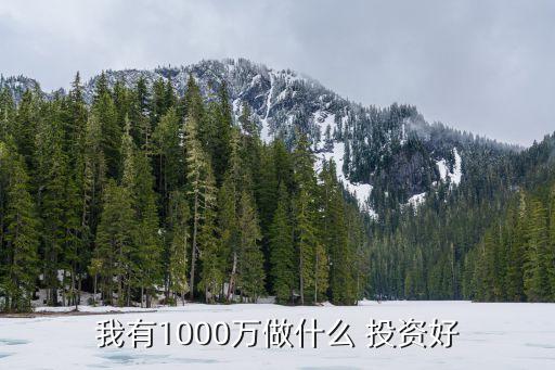 我有1000萬(wàn)做什么 投資好